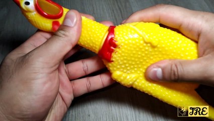 Screaming Chicken Toy (Review)