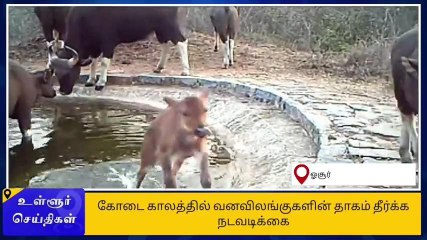 கிருஷ்ணகிரி வனத்துறை அதிரடி ஆக்‌ஷன்-குவியும் பாராட்டு