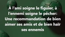 13)  À l’ami soigne le figuier, à l’ennemi soigne le pêcher. EXPRESSION, PROVERBE Français