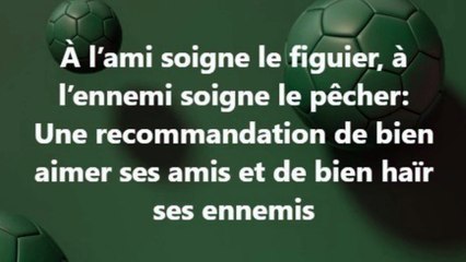 13)  À l’ami soigne le figuier, à l’ennemi soigne le pêcher. EXPRESSION, PROVERBE Français