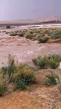 أمطار غزيرة وسيول بمنطقة تبوك