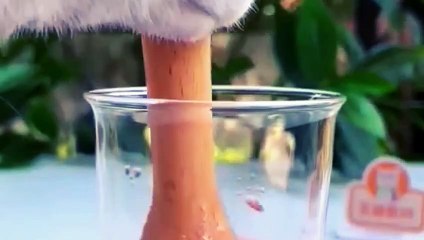 Satisfying Video With Relaxing Deep Sleep Every Day Music -Stress Relief And Meditation Ep- 05 2023