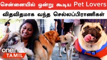 Chennai-ல் நடந்த PetGala.. செல்லப்பிராணிகளுடன் வந்த மக்கள்