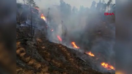 6 yıl önce çıkan yangında zarar gören Çamburnu'nda örtü yangını