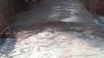 पूर्णिया: गरगट्टा गांव में सड़क निर्माण कार्य में बरती जा रही अनियमितता, देखें वीडियो