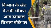 सीतापुर: आग की लपटों ने मचाया तांडव, जलकर राख हुई किसान की मेहनत, देखें वीडियो
