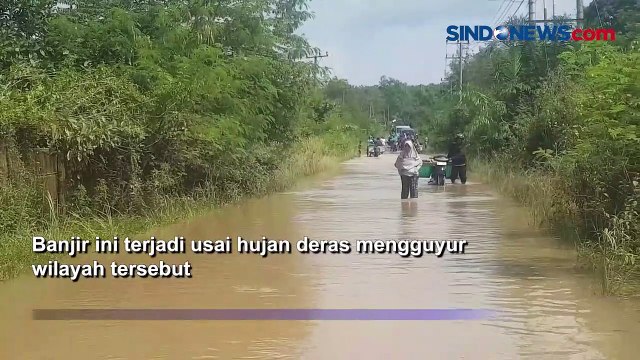 Hujan Deras, Banjir Rendam Jalan Penghubung Dua Kabupaten di Lampung