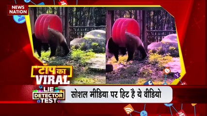 TOP KA VIRAL : सोशल मीडिया पर TOP KA VIRAL