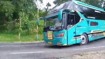 TELOLET BASURI MENGULAR Bus Pariwisata Termewah, Bus BS Guvilli, Bus SAFANA Trans, Bus D'Faza Auto