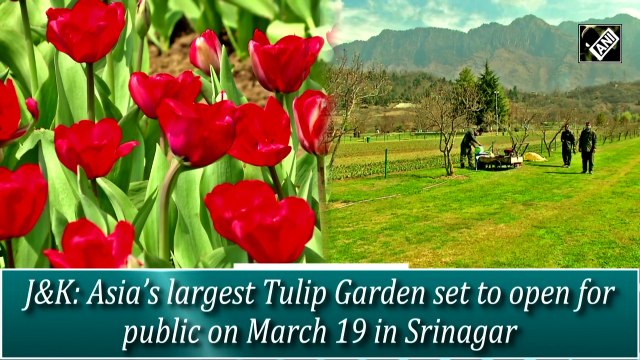 Asia’s largest Tulip Garden set to open for public on March 19 in Srinagar
