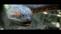 ANACONDA Swallowed Whole - (1997) Adventure