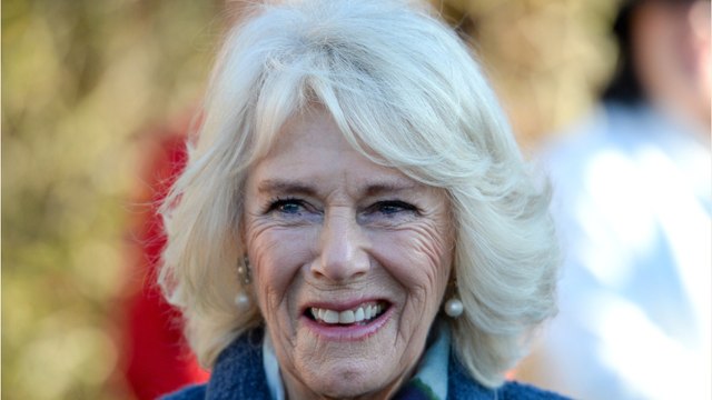 VOICI : Camilla Parker Bowles souhaite que ses petits-enfants participent au couronnement... bien qu'Archie et Lilibet ne soient pas invités !