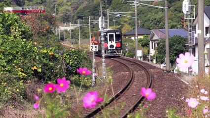 TC 47 - Vivre au bord de la mer le long de la côte sud de Kyushu