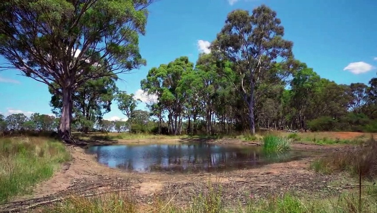 Bairnsdale grazing farm for sale March 13, 2023 video