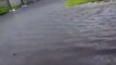 Flooding in Warilla | March 13, 2023 | Illawarra Mercury
