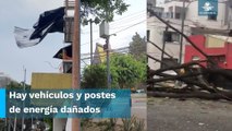 Se activa alerta amarilla en 12 alcaldías por fuertes vientos; reportan caída de árboles