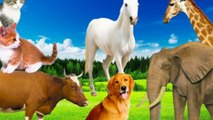 wild animals With Sounds, Elephants, dogs, horses, cows, cats goats