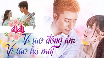 VÌ SAO ĐÔNG ẤM VÌ SAO HẠ MÁT| TẬP 44| Phim Ngôn Tình Lãng Mạn Trung Quốc 2023