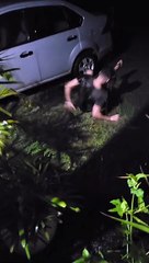 Guy Slips in Puddle While Trying to Get into Car