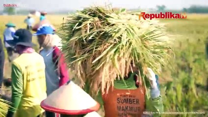 Jokowi Minta Harga Jual Gabah dan Beras Jangan Sampai Jatuh