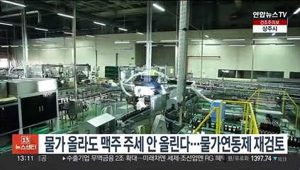 물가 올라도 맥주 주세 안 올린다…물가연동제 재검토