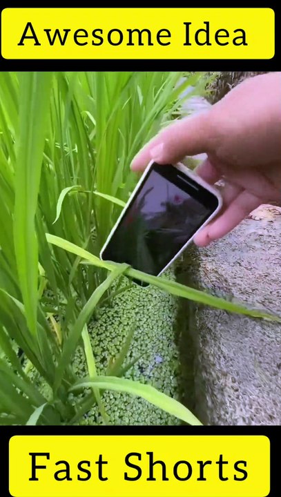 Awesome Idea