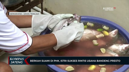 Télécharger la video: Berkah Suami di PHK, Istri Sukses Rintis Usaha Bandeng Presto