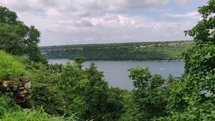 तीन दिनी बर्ड सर्वे में गांधीसागर में २१५ पक्षियों की प्रजातियां आई सामने