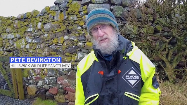 Worsening pollution threatens seal population, say Shetland wildlife rescuers