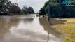 Floods hit Cootamundra in NSW's South West Slopes region