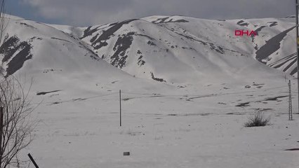 SPOR Karla kaplı kayak pistinde Türkiye Şampiyonası'na hazırlanıyorlar