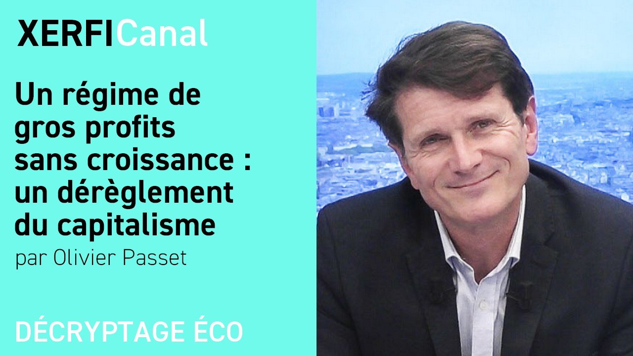 Un régime de gros profits sans croissance : un dérèglement du capitalisme [Olivier Passet]