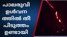 പാലരുവി ഉൾവനത്തിൽ വന്‍ തീപിടുത്തം; ആശങ്കയോടെ നാട്ടുകാര്‍