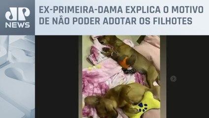 Michelle Bolsonaro coloca cachorros para adoção: “Estou morando de aluguel”