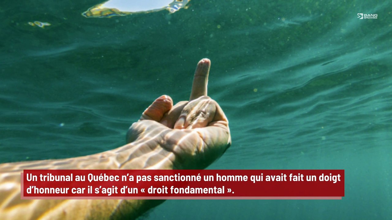 Québec : un tribunal ne sanctionne pas un homme jugé pour un doigt d’honneur !