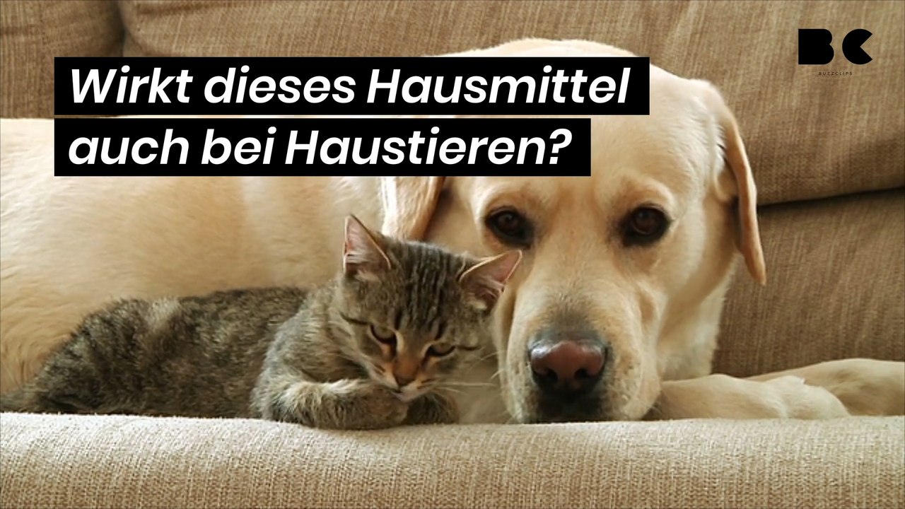 Wirkt dieses hausmittel auch bei haustieren?