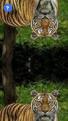 என்ன Elephants இவ்ளோ நாளா?