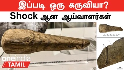 Rome | 2000 ஆண்டுகள் பழமையான 'பலான கருவி' | Shock ஆன ஆய்வாளர்கள்