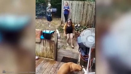 حيوانات عادت لاصحابها بعد غياب سنوات _ رد فعلهم لاتصدق !!