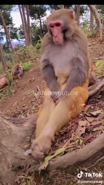 instDescription  NEW OP UPDATE NEW INTRANCE TICKET AND EXCITING REWARDS LIKE EMOTES  aryan the Mastermind 3 Likes 19 Views 2021 Aug 19 #fullvideo #FreeFireNoob​ #GarenaFreeFire​ funnyvideo#fullvideo  -------------------------------------------------------