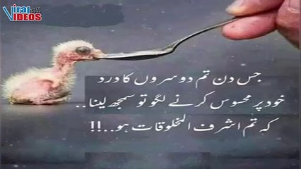 Urdu Quotes about life Best Islamic quotes in Urdu