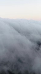 Pourquoi rêver est primordial pour notre cerveau ?