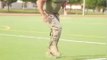 Best committed soldier workout exercises and military training drills that transforms