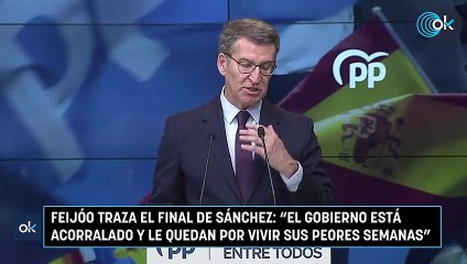 Feijóo traza el final de Sánchez: "El Gobierno está acorralado y le quedan por vivir sus peores semanas"