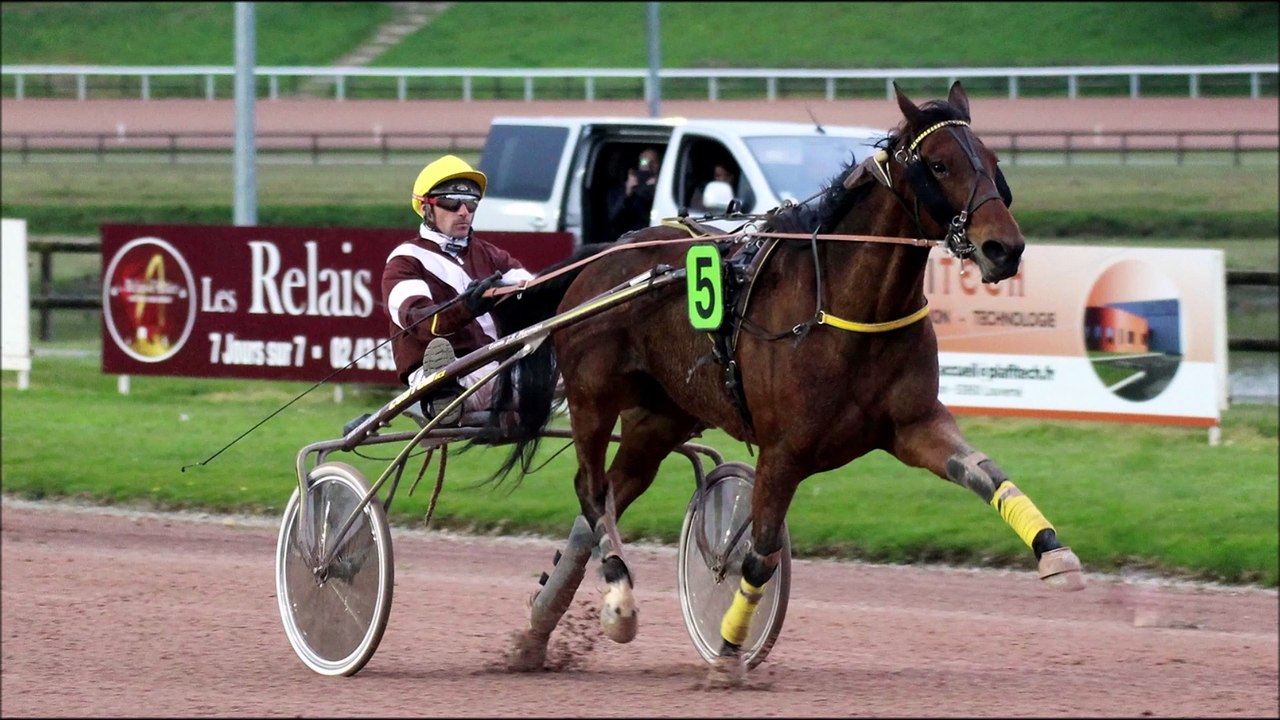 Pronostic de Fréquence Turf pour le Quinté PMU du mardi 14 mars 2023 (Réunion n°1 - Course n°1)
