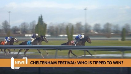 Cheltenham Festival: Which horses are tipped to win?