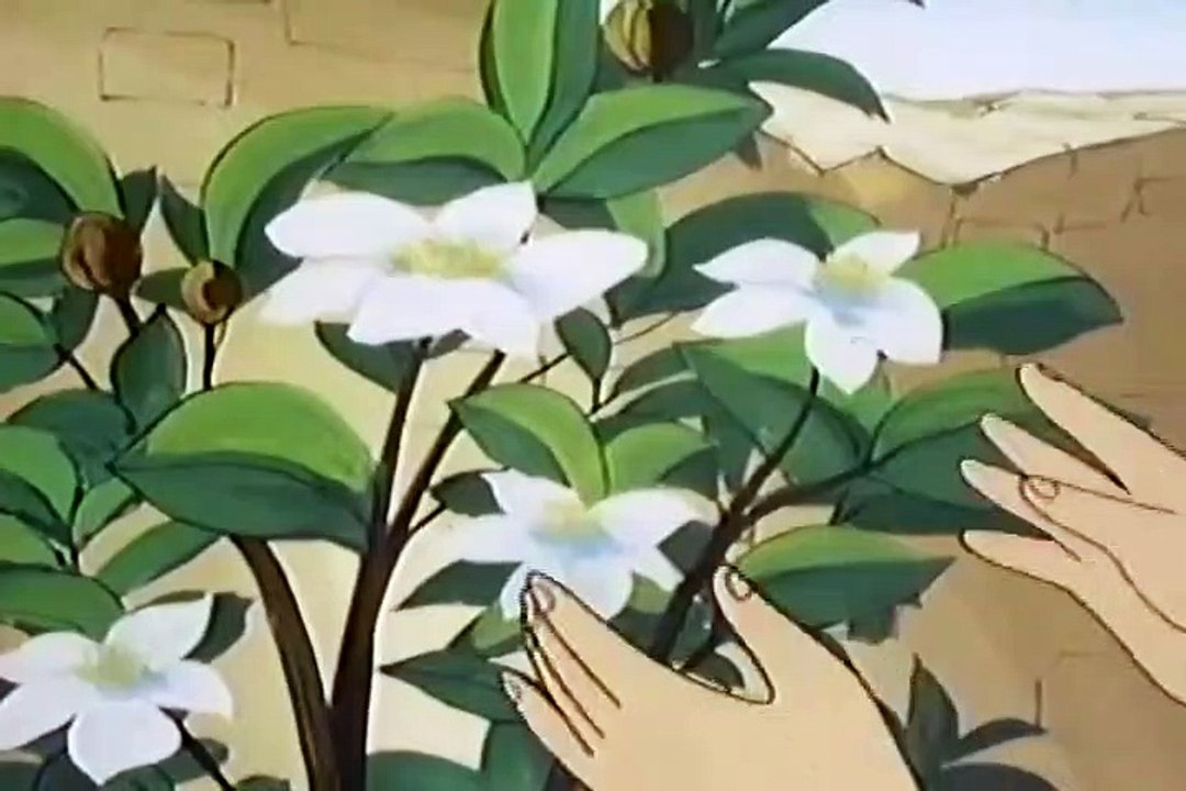 29. Quién de vosotros | La Casa Voladora