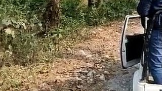 Rhino mom attacks and topples open jeep full of tourists at Bengal's Jaldapara National Park, clip goes viral