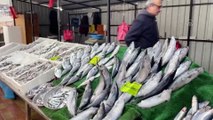 Zonguldaklı balıkçıların yüzü palamutla güldü