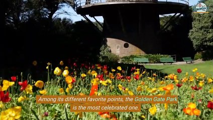 A Guide To The Golden Gate Park Tour San Francisco